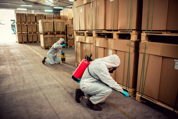 Best Cockroach Control Services  in Sun Prairie, WI