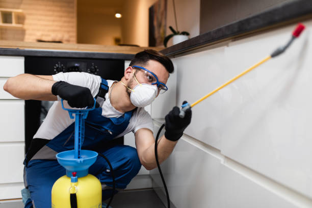 Best Mosquito Control Services  in Sun Prairie, WI