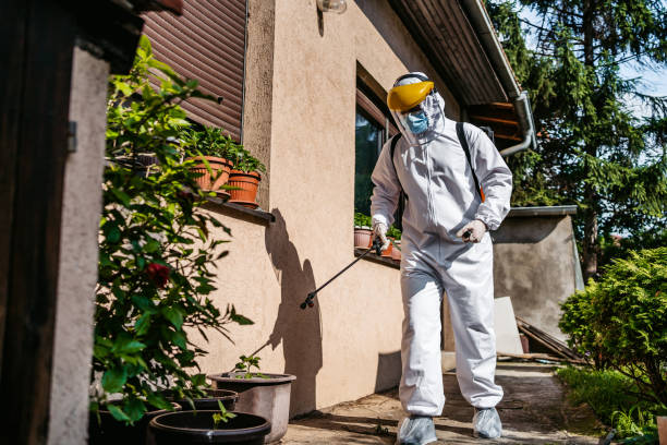 Wasp Removal Services in Sun Prairie, WI