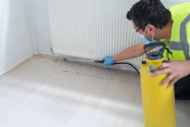 Best Bed Bug Extermination  in Sun Prairie, WI