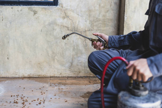 Best Pest Removal Services  in Sun Prairie, WI